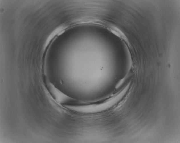 X0000068861146200605121910