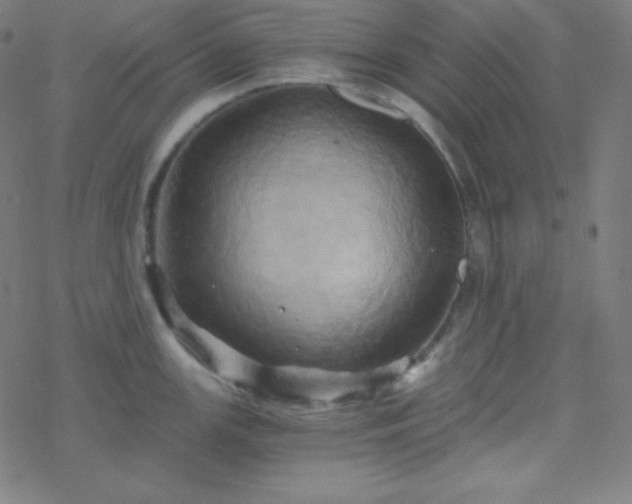 X0000068861147200605121910