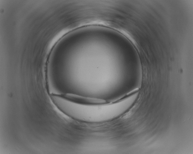 X0000068861151200605121910