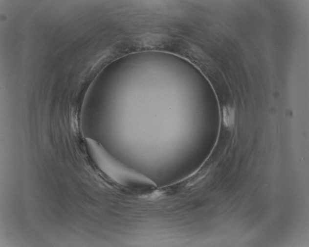 X0000068861155200605121910