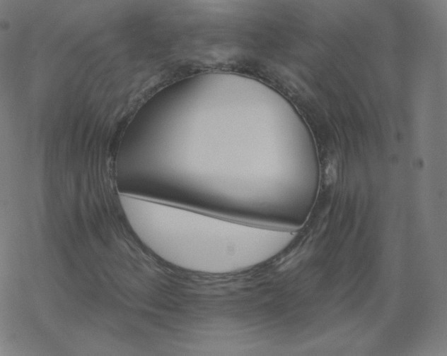 X0000068861156200605121910