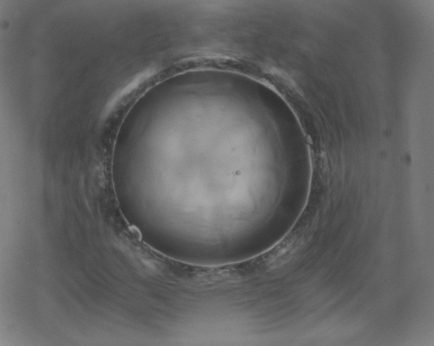 X0000068861159200605121909