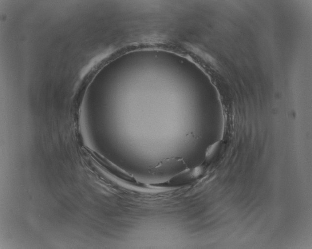 X0000068861160200605121909