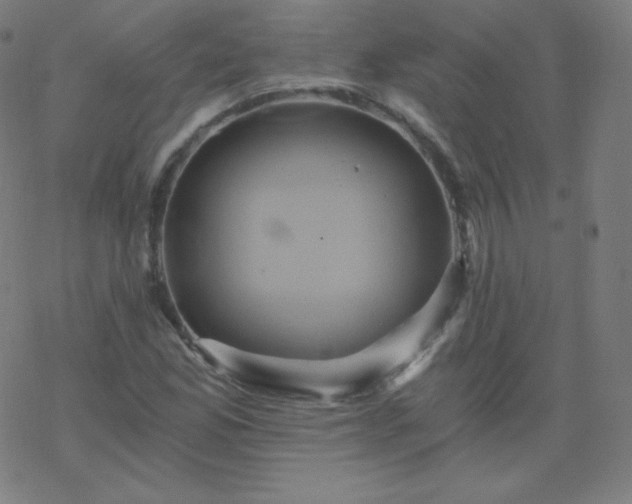 X0000068861165200605121909