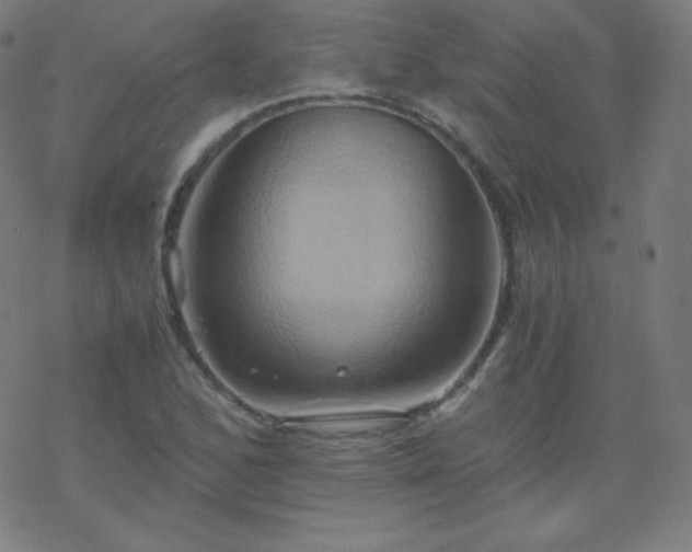 X0000068861168200605121909