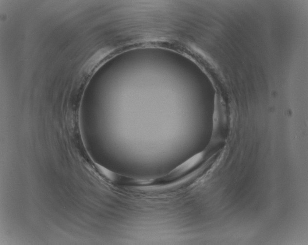 X0000068861169200605121909