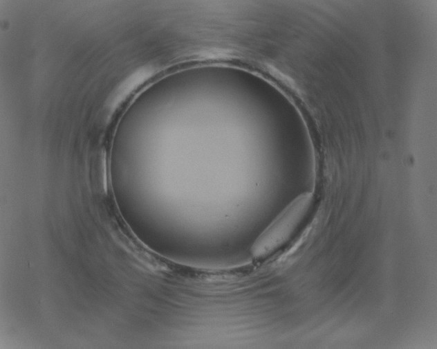 X0000068861171200605121909