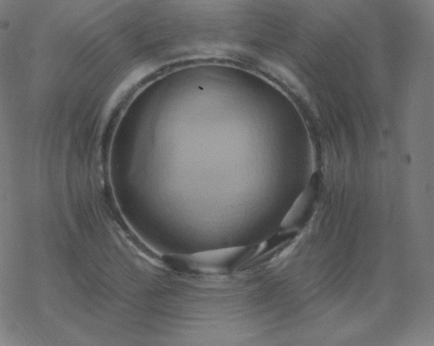 X0000068861172200605121909