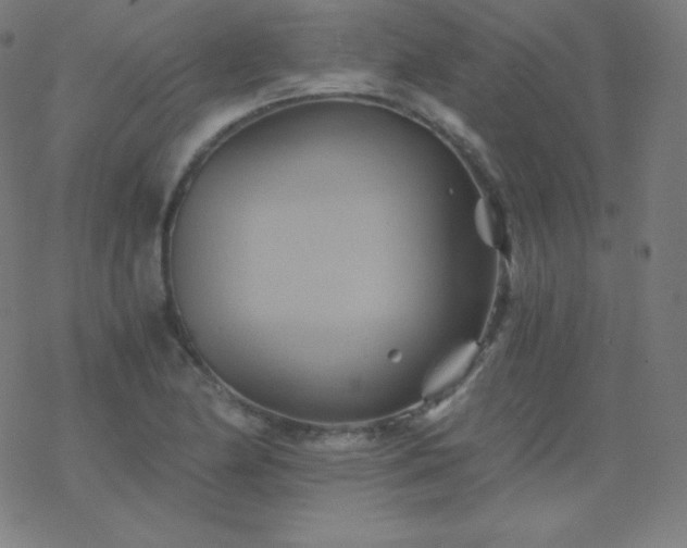 X0000068861174200605121909