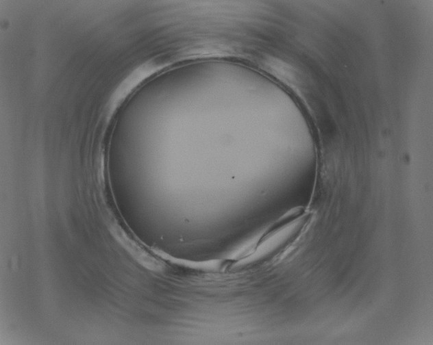 X0000068861179200605121909