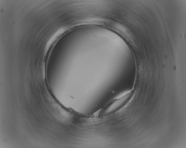 X0000068861180200605121909