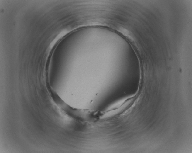 X0000068861181200605121909