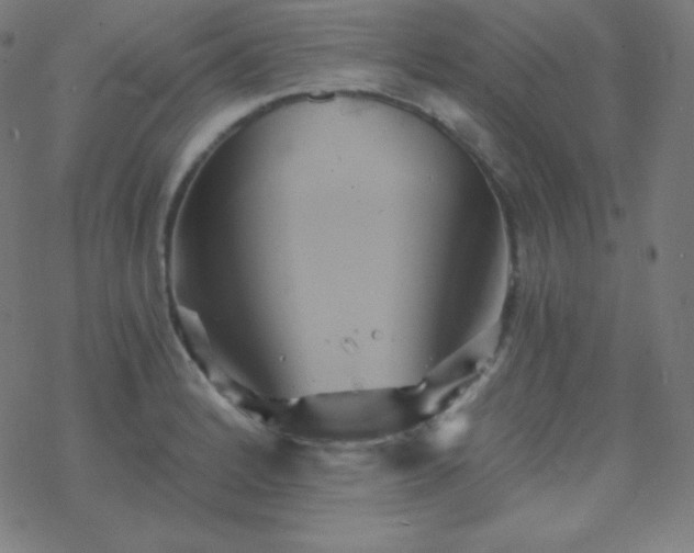 X0000068861184200605121909