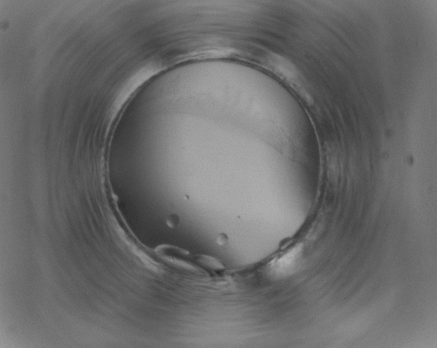 X0000068861186200605121909