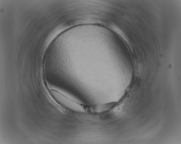 X0000068861187200605121909