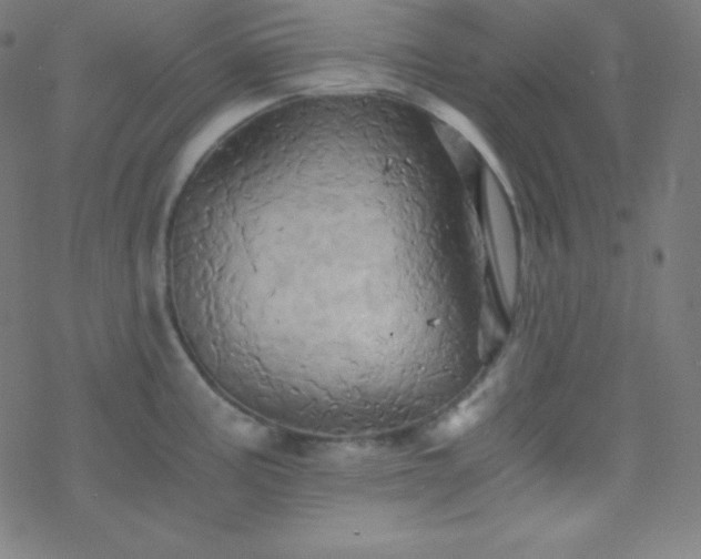 X0000068861195200605121909