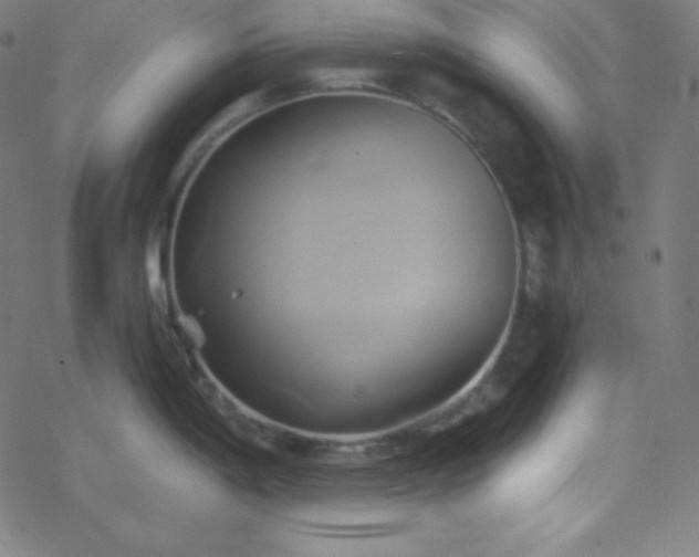 X0000068861198200605121909