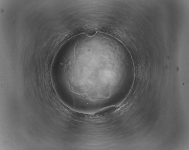 X0000068861201200605121908