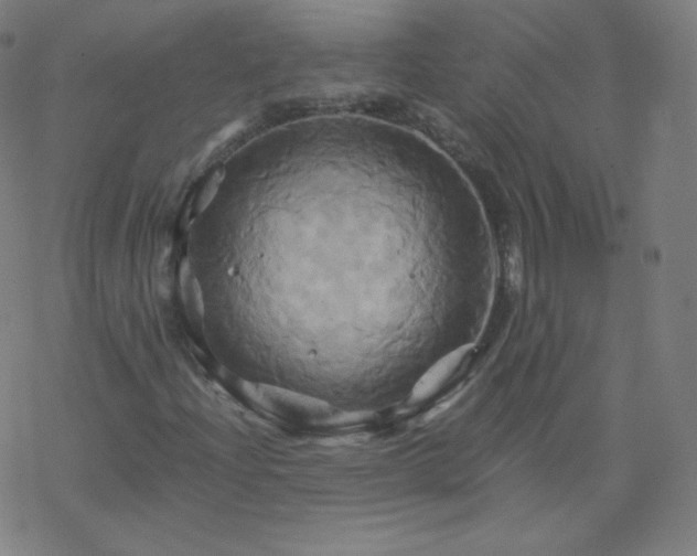 X0000068861204200605121908