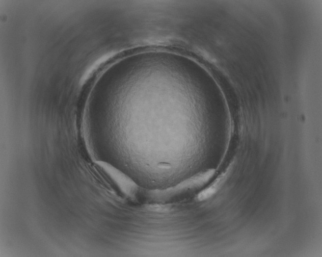X0000068861214200605121908