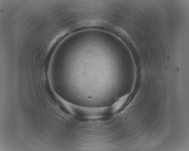 X0000068861218200605121908