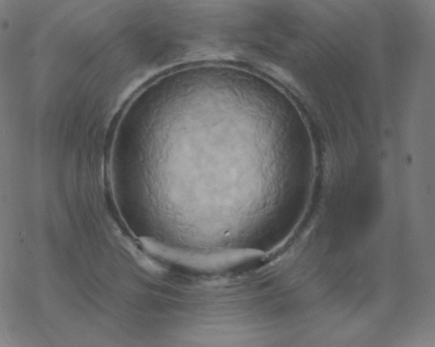 X0000068861220200605121908