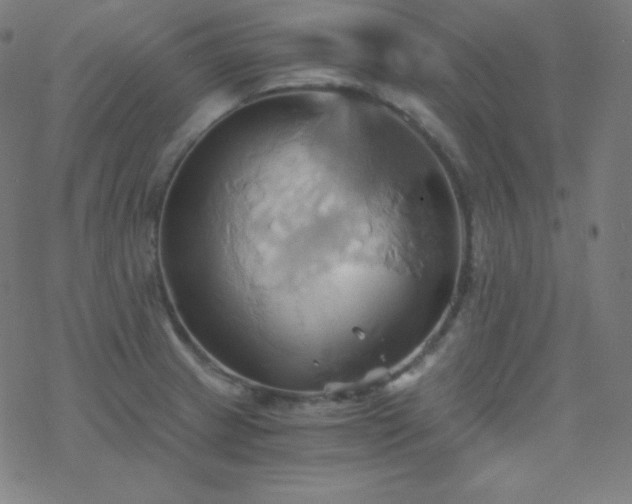 X0000068861233200605121909