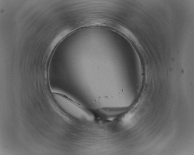 X0000068861234200605121909