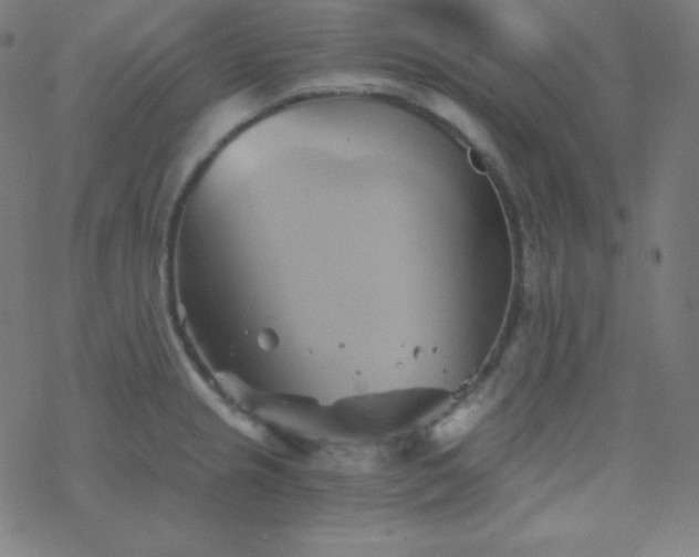 X0000068861237200605121909