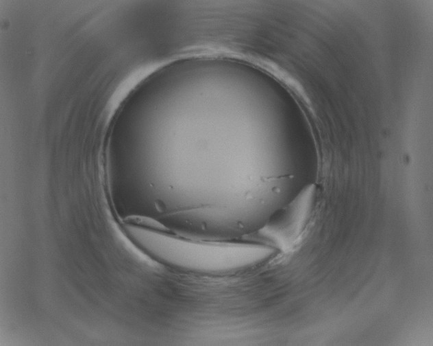 X0000068861239200605121909