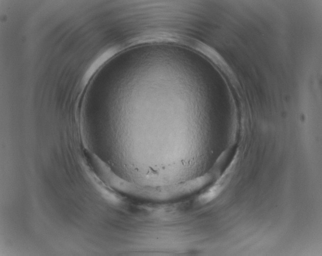 X0000068861242200605121909