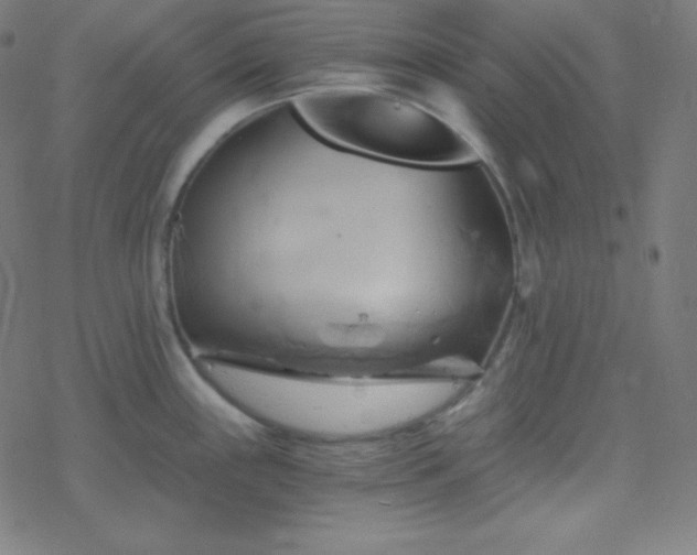 X0000068861243200605121909