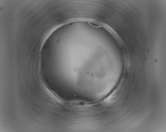 X0000068861244200605121909