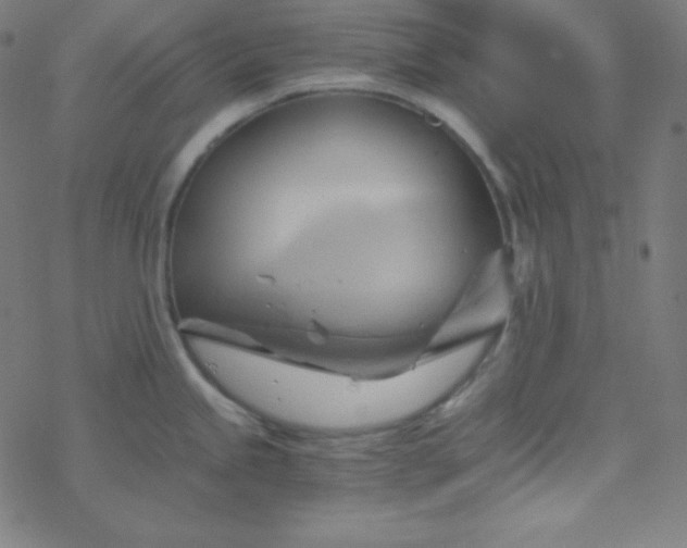 X0000068861245200605121909