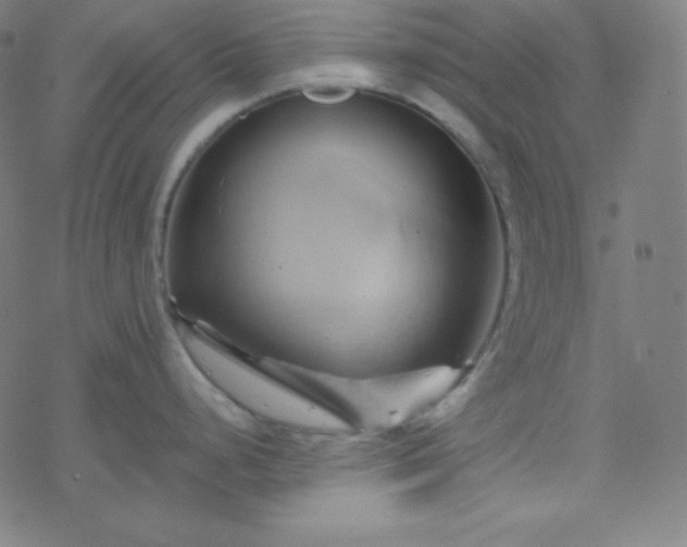 X0000068861248200605121909