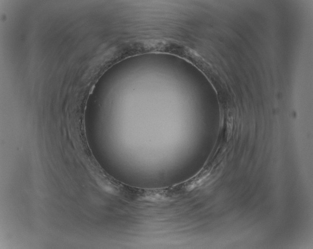 X0000068861249200605121908