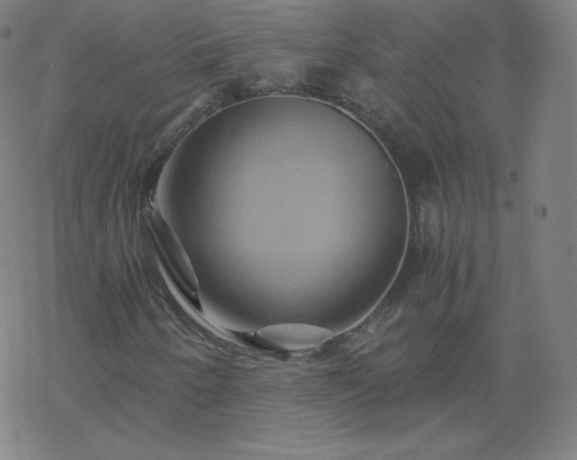 X0000068861250200605121908