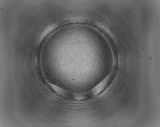 X0000068861261200605121908