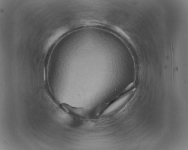 X0000068861269200605121908