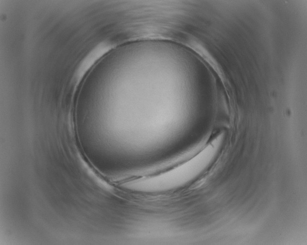 X0000068861293200605121907