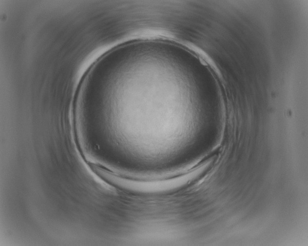 X0000068861343200605121907