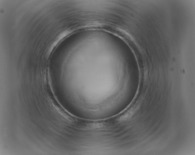 X0000068861409200605121905