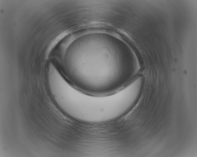 X0000068861410200605121905