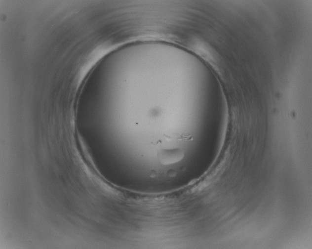 X0000068861428200605121905