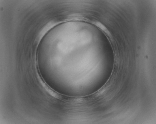 X0000068861431200605121906