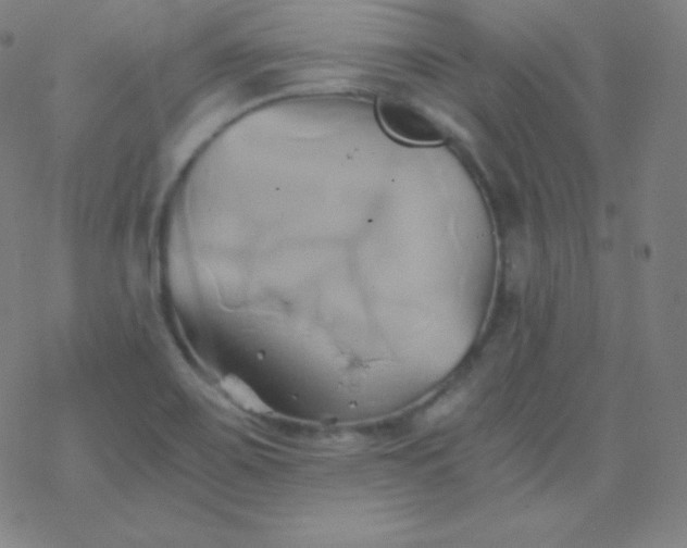 X0000068861467200605121904