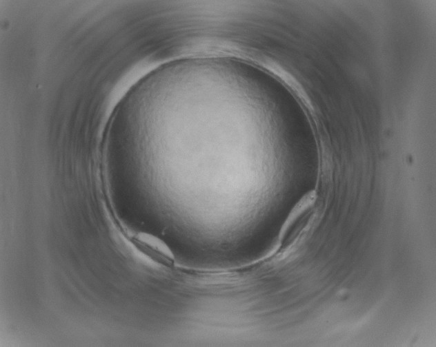 X0000068861486200605121904