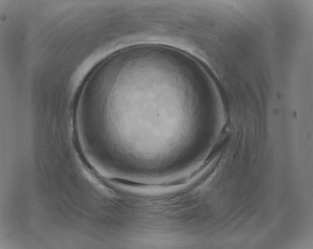 X0000068861511200605121904