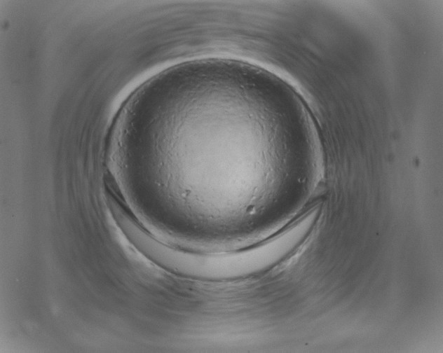 X0000068861534200605121904