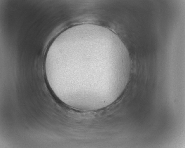 X0000068860004200605192029
